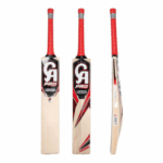 CA Pro 12000 EW Adult SH Cricket Bat