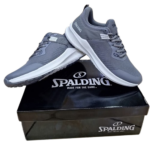 Spalding Silvano Men's Shoes