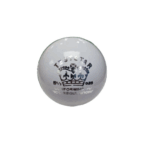 CA White Test Star 5.5 Oz Leather Cricket Ball