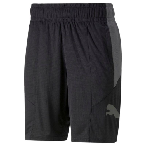 1562d071-ec00-4360-9932-865d999379fe.png Train FAV CAT Knit 8" Men's Shorts - Image 1