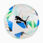 Puma Cumbre Conmebol Libertadores MS Size 5 Football
