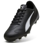 Puma Vitoria II FG/AG Football Boots 108500 01