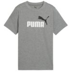 Puma ESS 2 Colour No.1 Logo Boy's Tee 685778 03